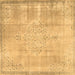 Square Persian Brown Traditional Rug, tr3869brn