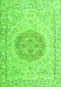 Persian Green Traditional Rug, tr3873grn