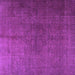 Square Persian Purple Traditional Rug, tr3874pur