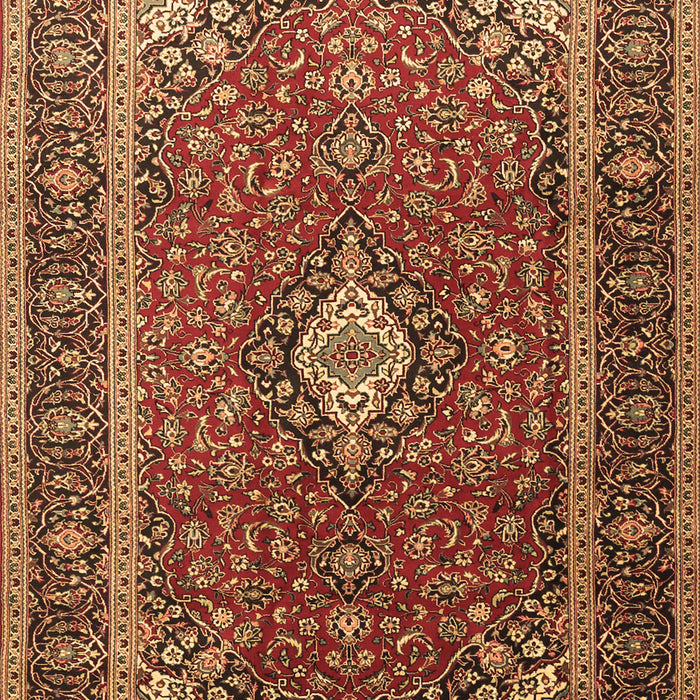 Medallion Brown Traditional Rug, tr3876brn