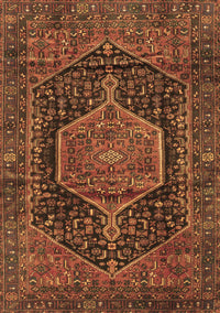 Persian Brown Traditional Rug, tr3879brn