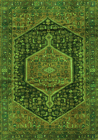 Persian Green Traditional Rug, tr3879grn