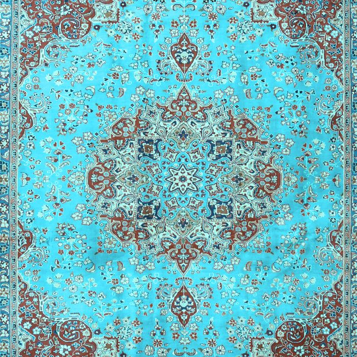Persian Light Blue Traditional Rug, tr3881lblu