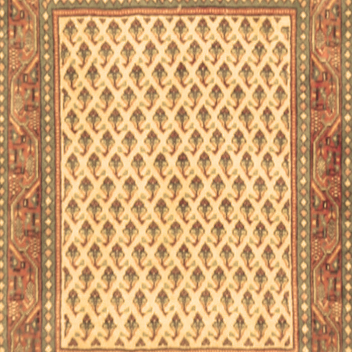 Machine Washable Persian Brown Traditional Rug, wshtr3883brn