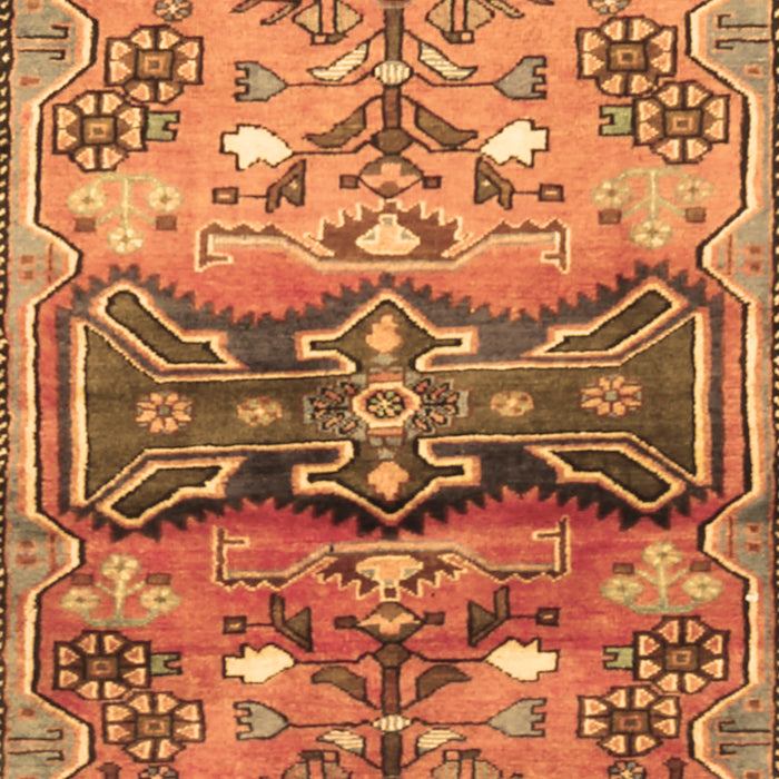 Machine Washable Animal Brown Traditional Rug, wshtr3886brn