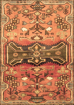 Animal Brown Traditional Rug, tr3886brn