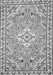 Medallion Gray Traditional Rug, tr3889gry