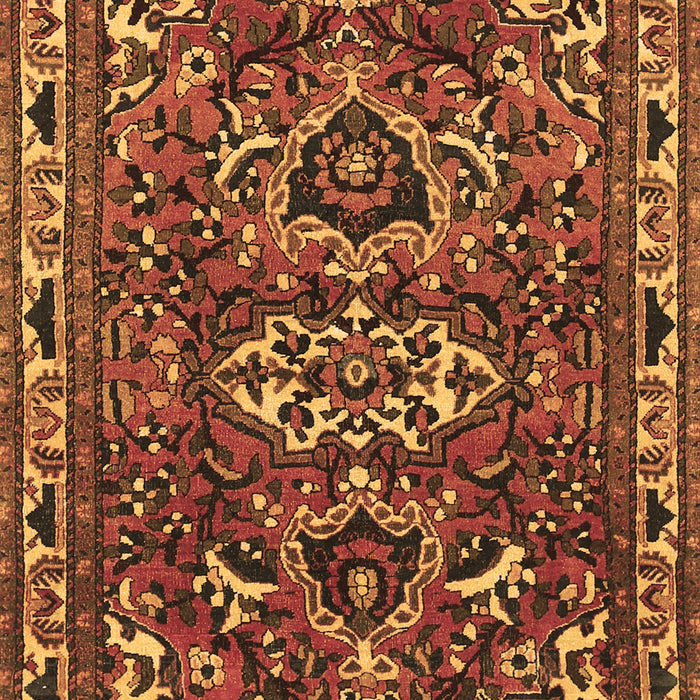 Persian Brown Traditional Rug, tr388brn