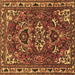 Square Machine Washable Persian Brown Traditional Rug, wshtr388brn