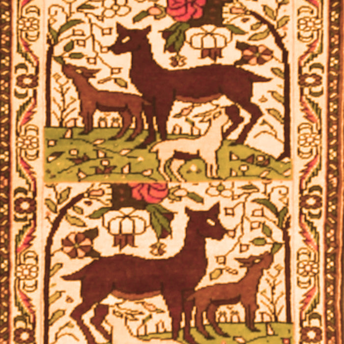 Serging Thickness of Machine Washable Persian Orange Traditional Area Rugs, wshtr3893org