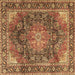 Square Machine Washable Medallion Brown Traditional Rug, wshtr3899brn