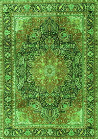 Medallion Green Traditional Rug, tr3899grn