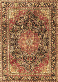 Medallion Brown Traditional Rug, tr3899brn