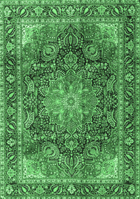 Medallion Emerald Green Traditional Rug, tr3899emgrn