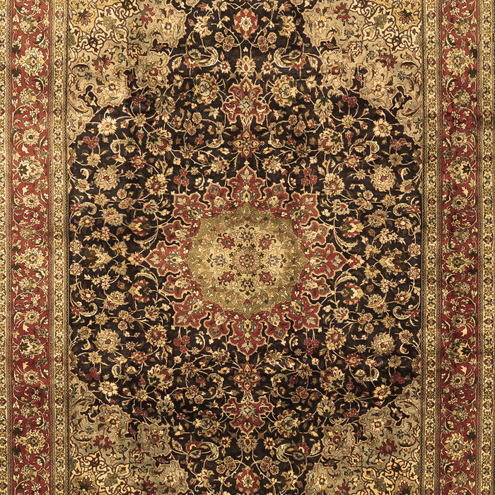 Medallion Brown Traditional Rug, tr389brn