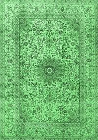 Medallion Emerald Green Traditional Rug, tr3904emgrn