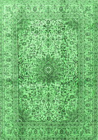 Medallion Emerald Green Traditional Rug, tr3905emgrn