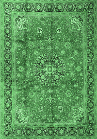 Medallion Emerald Green Traditional Rug, tr3906emgrn