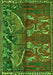 Animal Green Traditional Rug, tr390grn