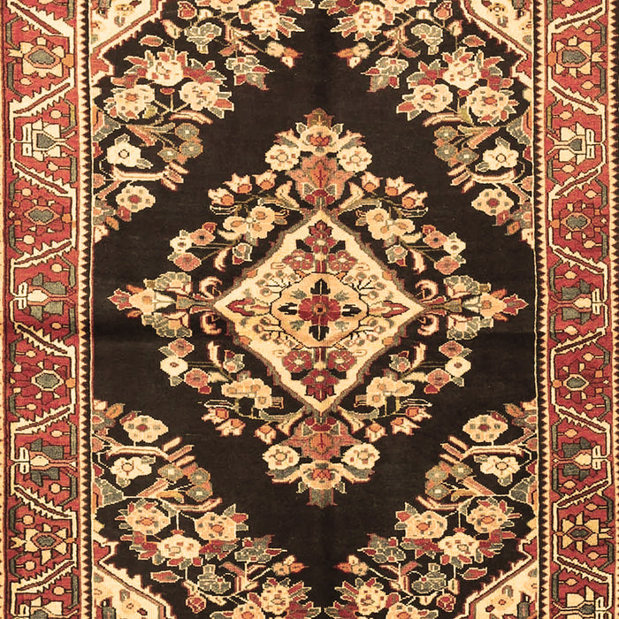 Machine Washable Medallion Brown Traditional Rug, wshtr3913brn