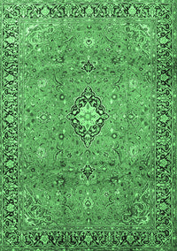 Persian Emerald Green Traditional Rug, tr3920emgrn