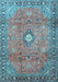 Machine Washable Persian Light Blue Traditional Rug, wshtr3920lblu