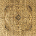 Square Persian Brown Traditional Rug, tr3921brn