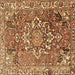 Square Persian Brown Traditional Rug, tr3924brn
