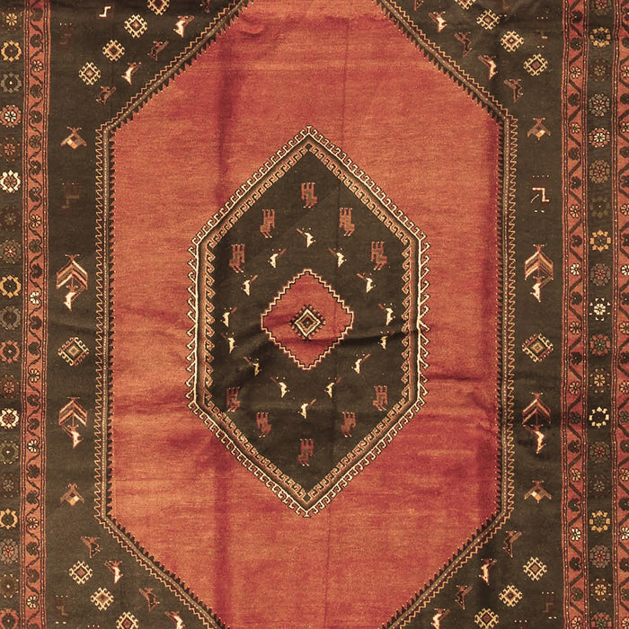 Medallion Brown Traditional Rug, tr3925brn