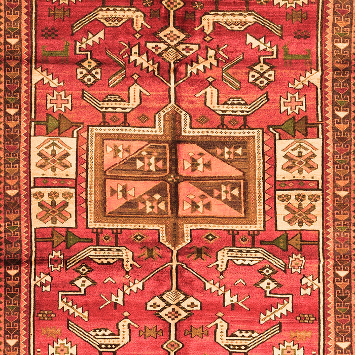 Serging Thickness of Machine Washable Animal Orange Traditional Area Rugs, wshtr3927org