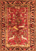 Serging Thickness of Machine Washable Animal Orange Traditional Area Rugs, wshtr392org