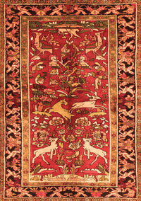 Animal Orange Traditional Rug, tr392org