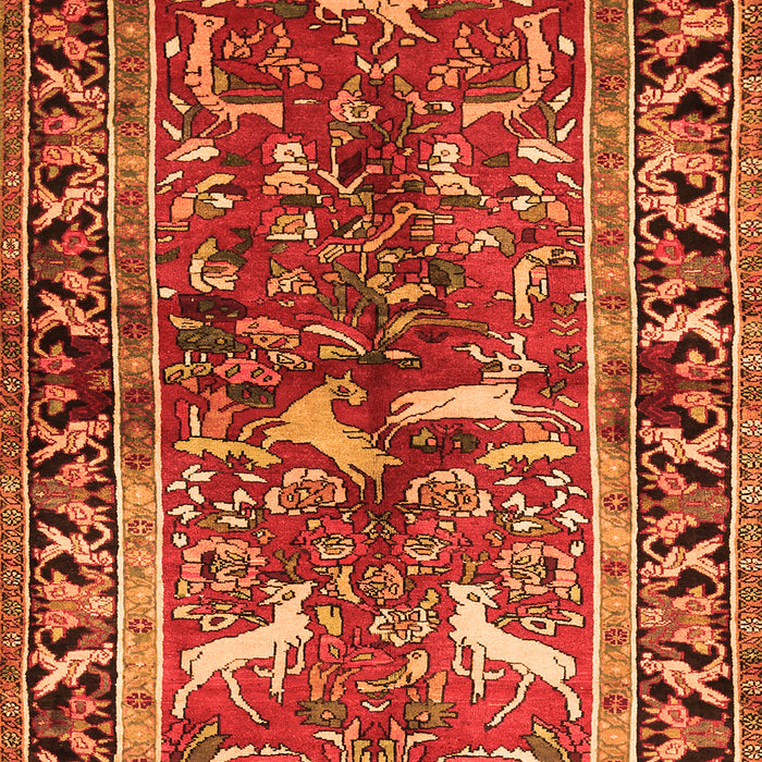 Animal Orange Traditional Rug, tr392org