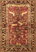 Animal Brown Traditional Rug, tr392brn