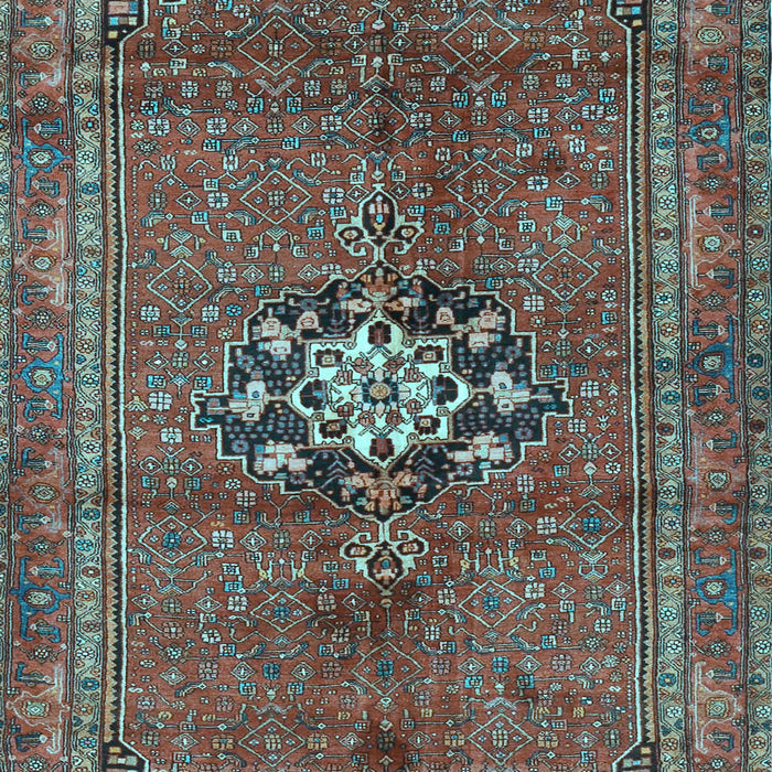Medallion Light Blue Traditional Rug, tr3930lblu