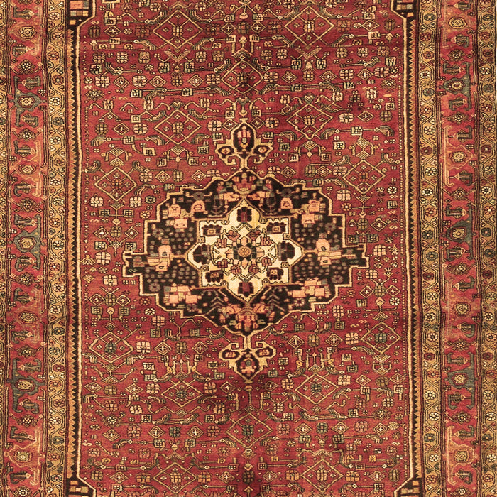 Machine Washable Medallion Brown Traditional Rug, wshtr3930brn