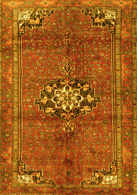 Medallion Yellow Traditional Rug, tr3930yw