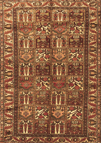 Persian Brown Traditional Rug, tr3931brn