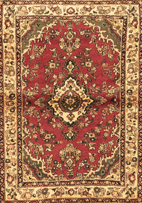 Persian Brown Traditional Rug, tr3934brn