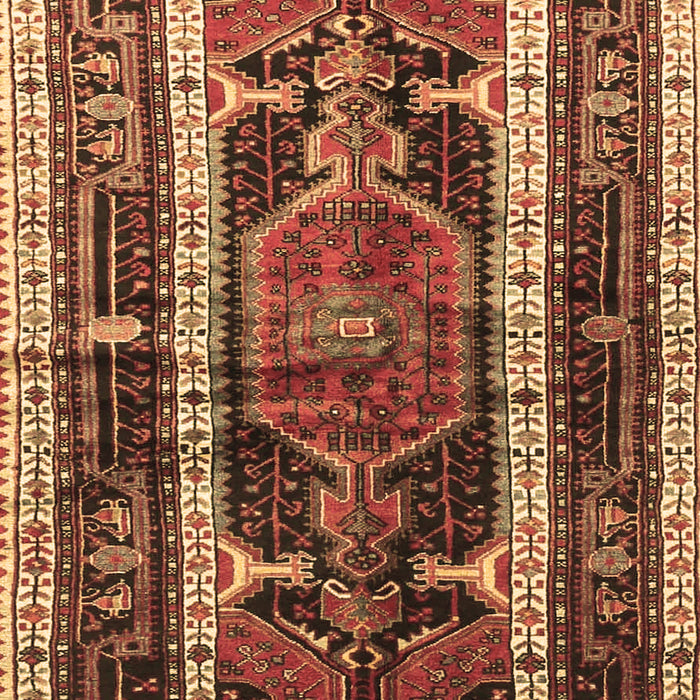 Medallion Brown Traditional Rug, tr3937brn