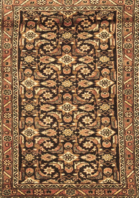 Persian Brown Traditional Rug, tr3939brn