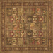Square Persian Brown Traditional Rug, tr393brn