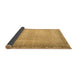 Sideview of Persian Brown Traditional Rug, tr3943brn