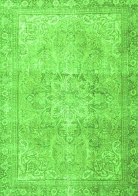 Persian Green Traditional Rug, tr3944grn