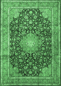 Persian Emerald Green Traditional Rug, tr3948emgrn