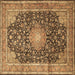 Square Machine Washable Persian Brown Traditional Rug, wshtr3948brn