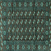 Square Machine Washable Persian Turquoise Traditional Area Rugs, wshtr3949turq