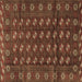 Square Persian Brown Traditional Rug, tr3949brn