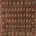 Square Machine Washable Persian Brown Traditional Rug, wshtr3949brn