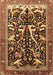 Animal Brown Traditional Rug, tr3953brn